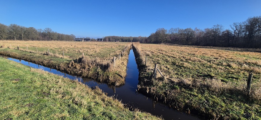 trage-tocht-bergharen-11 Wandeling over Trage Tocht Bergharen