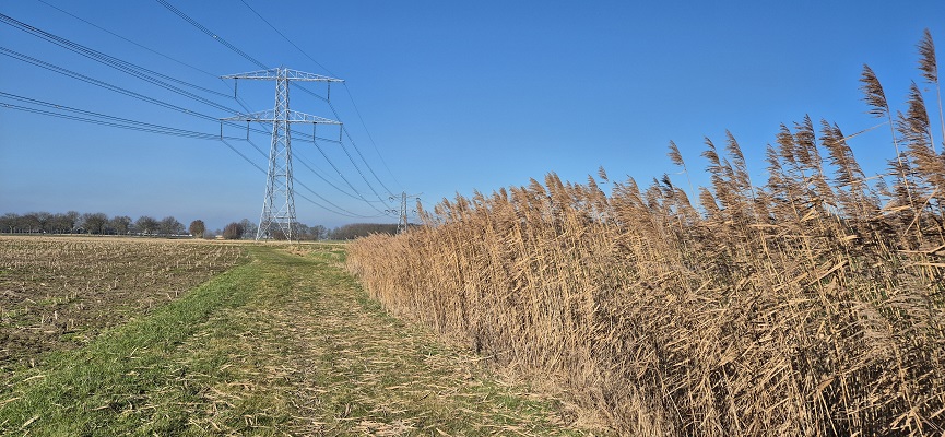 trage-tocht-bergharen-13 Wandeling over Trage Tocht Bergharen