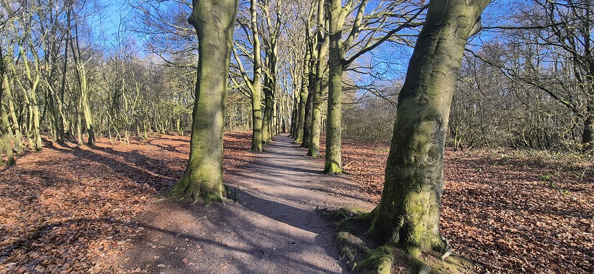 trage-tocht-bergharen-25 Wandeling over Trage Tocht Bergharen op landgoed Hernen