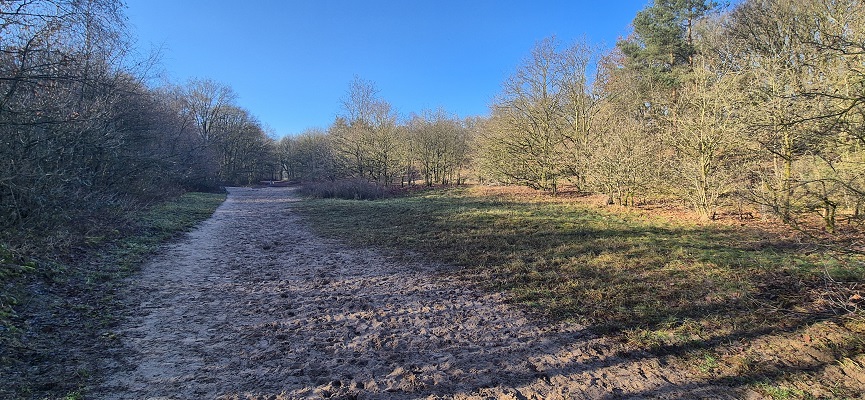 trage-tocht-bergharen-9 Wandeling over Trage Tocht Bergharen