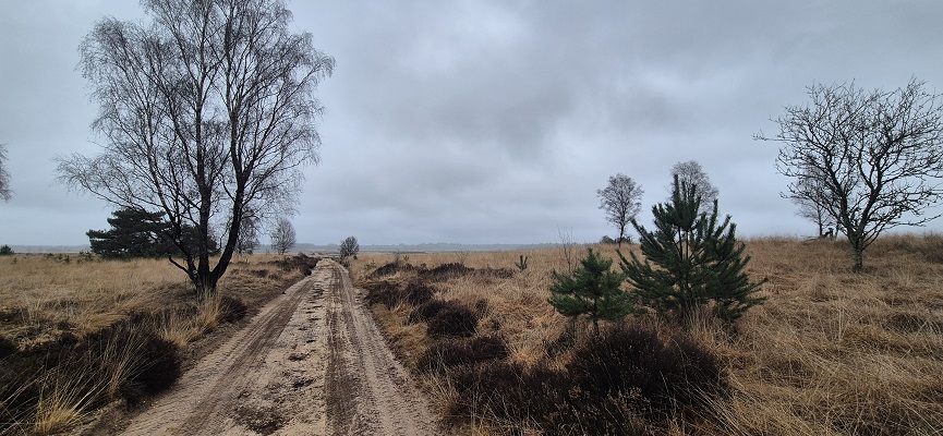 Wandeling over Trage Tocht Ede Sysselt op de Ginkelse Hei