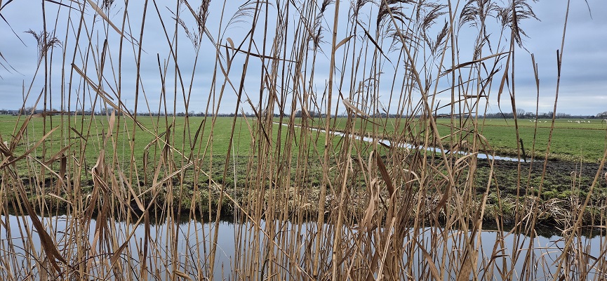 Wandeling over Trage Tocht Oudewater op de Tiendweg