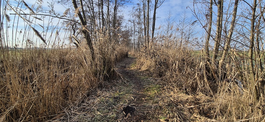 Wandeling over Trage Tocht Waarder