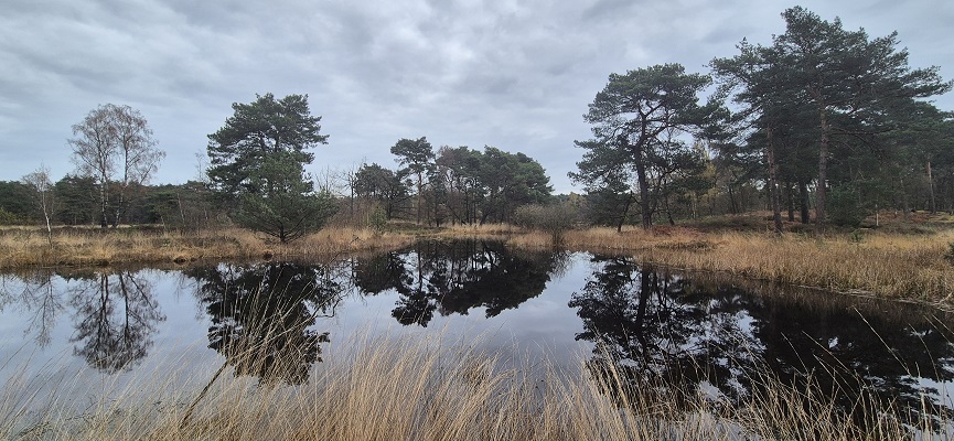 Wandeling over Festina Lente de Sahara