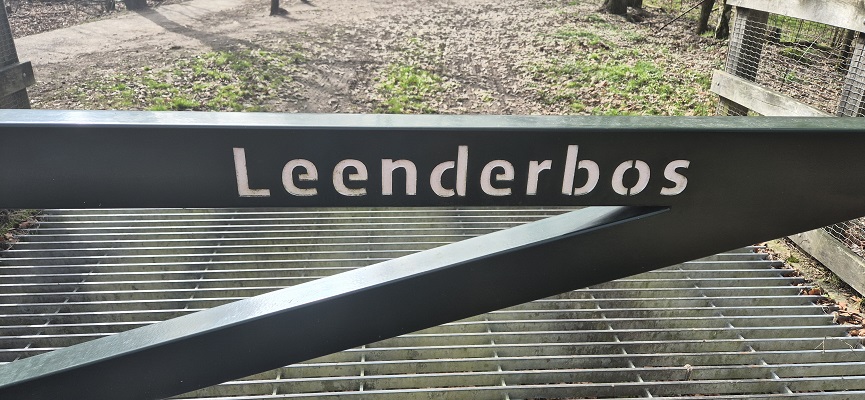 Wandeling over Knopenrondje Leende in het Leenderbos