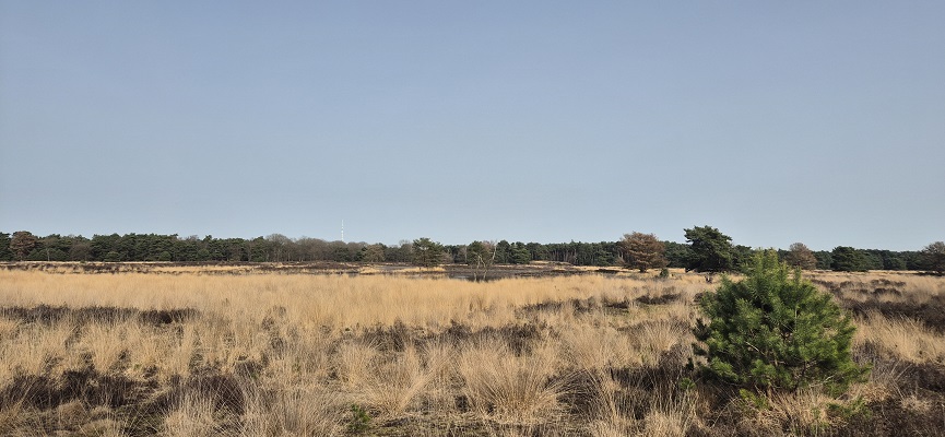 Wandeling over Knopenrondje Leende in de Spinsterberg