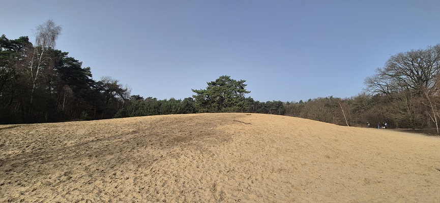 Wandeling over Knopenrondje Leende in het Leenderbos