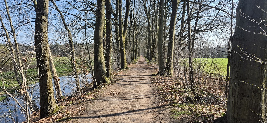 Wandeling over Knopenrondje Sint-Michielsgeste op landgoed Zegenwerp