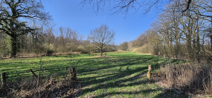 Wandeling over Knopenrondje Sint-Michielsgeste op landgoed Zegenwerp