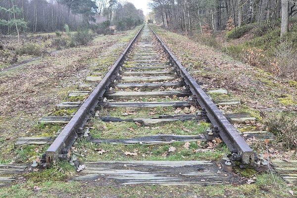 Wandeling over Trage Tocht Burloër Ven bij de Borkense Baan