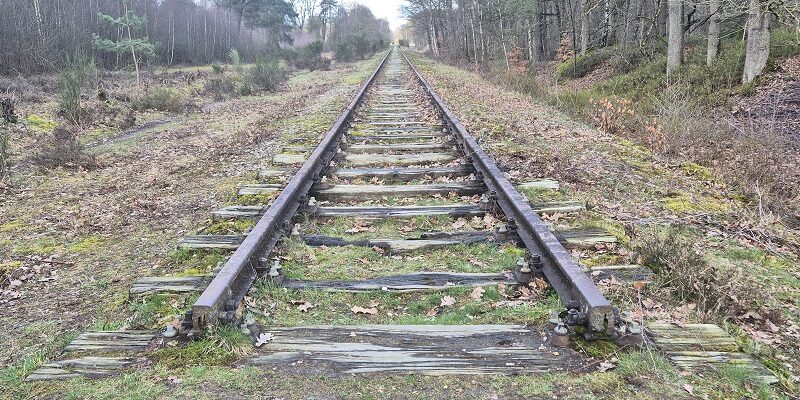 Wandeling over Trage Tocht Burloër Ven bij de Borkense Baan