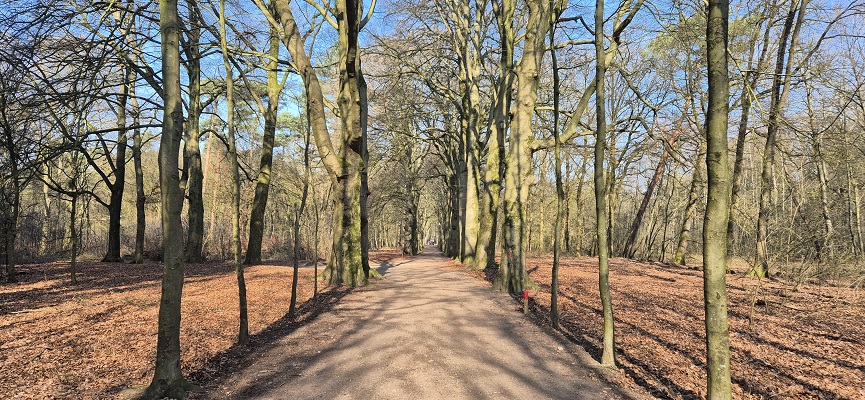 Wandeling over Trage Tocht Ede-Wolfheze op landgoed Houkelum