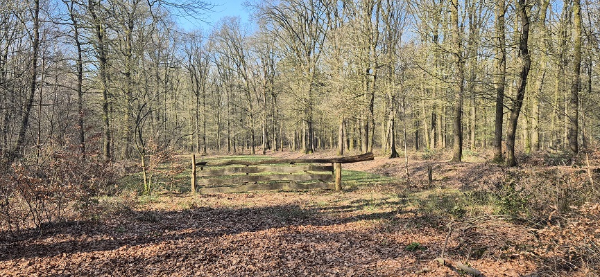 Wandeling over Trage Tocht Ede-Wolfheze op landgoed Houkelum