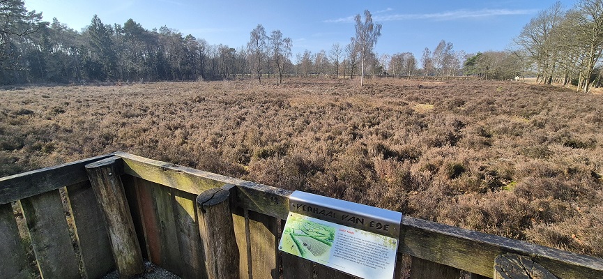 Wandeling over Trage Tocht Ede-Wolfheze bij een Celtic Field