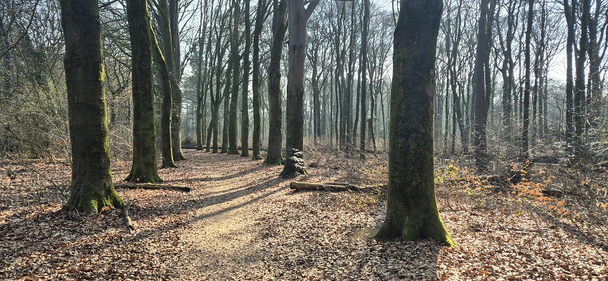 Wandeling over Trage Tocht Ede-Wolfheze op landgoed Houkelum