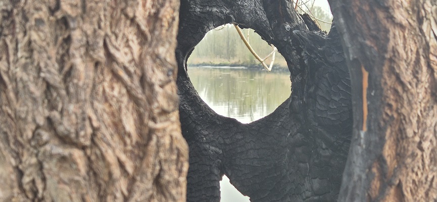 trage-tocht-rhoon-11 Wandeling over Trage Tocht Rhoon bij de Rhoonse Grienden