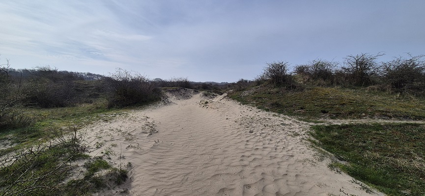 Wandeling over Trage Tocht Rockanje in het Voornes Duin