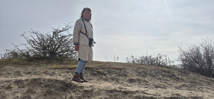 Wandeling over Trage Tocht Rockanje in het Voornes Duin