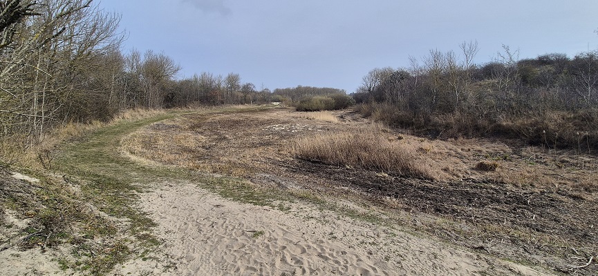 Wandeling over Trage Tocht Rockanje in het Voornes Duin
