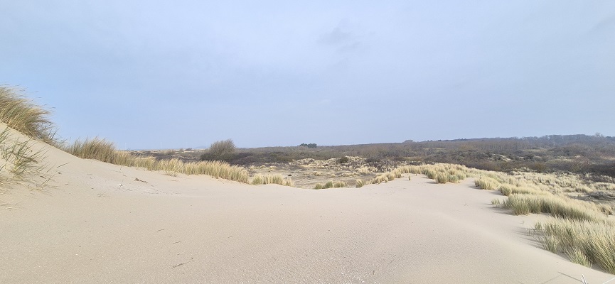 Wandeling over Trage Tocht Rockanje in het Voornes Duin