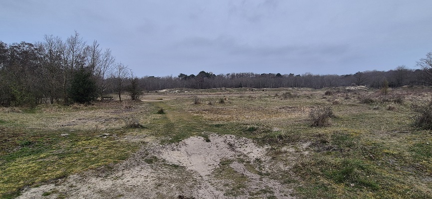 Wandeling over Trage Tocht Rockanje in het Voornes Duin