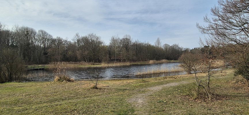 Wandeling over Trage Tocht Rockanje bij de Tenellaplas