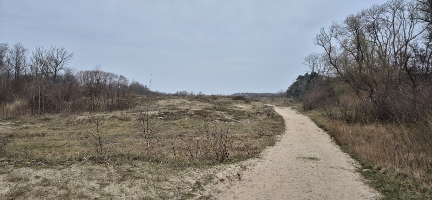 Wandeling over Trage Tocht Rockanje in het Voornes Duin