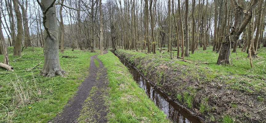Wandeling over Trage Tocht Rockanje op landgoed Strijpemonde