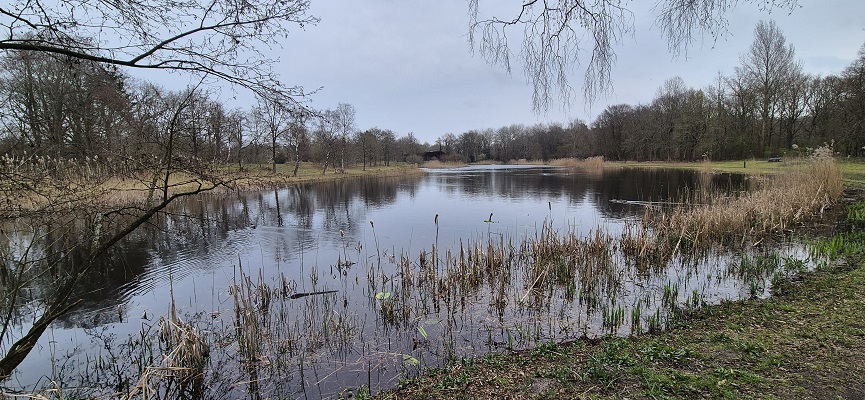 Wandeling over Trage Tocht Rockanje bij de Tenellaplas