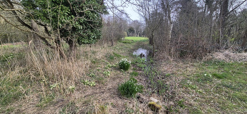 Wandeling over Trage Tocht Rockanje bij de Tenellaplas