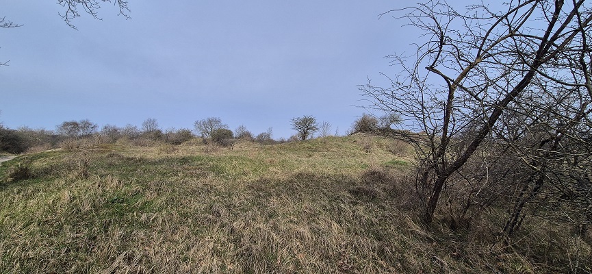 Wandeling over Trage Tocht Rockanje in het Voornes Duin