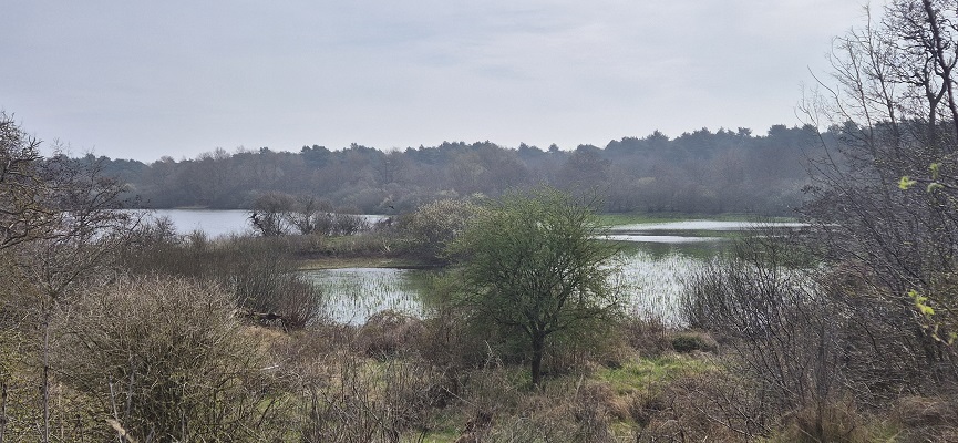 Wandeling over Trage Tocht Rockanje bij het Breede Water