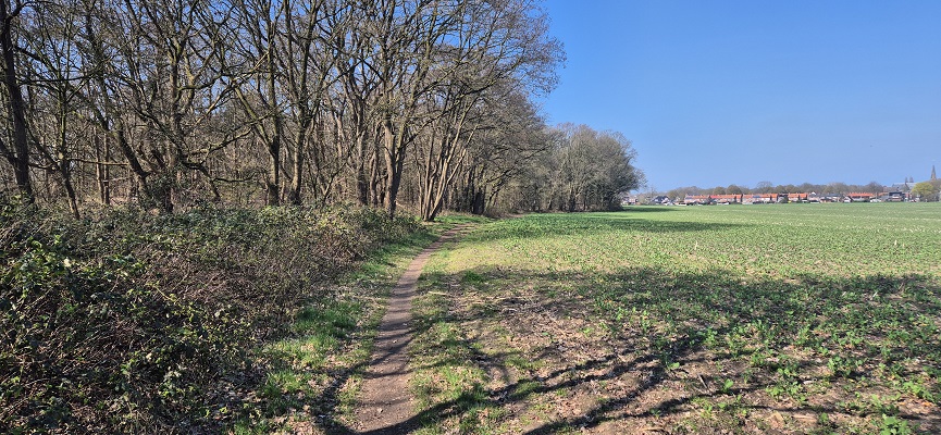 trage-tocht-terborg-11 Wandeling over Trage Tocht Terborg bij het rivierduin