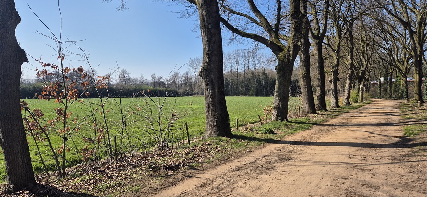 trage-tocht-terborg-20 Wandeling over Trage Tocht Terborg bij de Paasberg