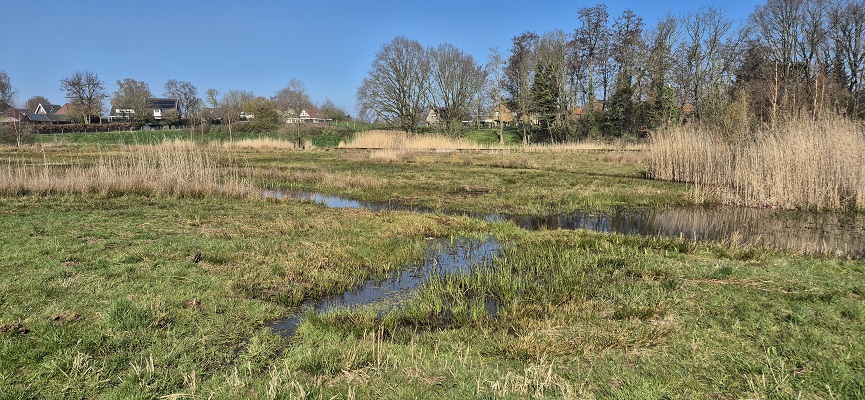 Wandeling over Trage Tocht Terborg bij de Akkermansbeek