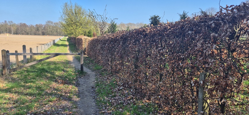Wandeling over Trage Tocht Terborg bij natuurgebied de Watertap