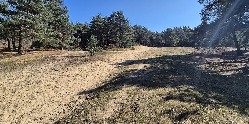 Wandeling over Trage Tocht Tungelroy bij de Tungelerwallen