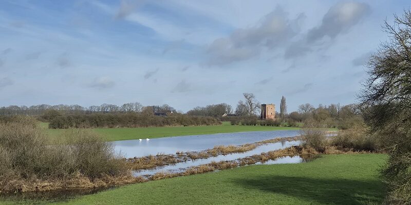 Wandeling over Trage Tocht Voorst bij de ruïne van Slot Nijenbeek