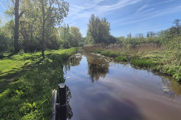 IVN-wandeling Collse Zeggen bij de Dommel