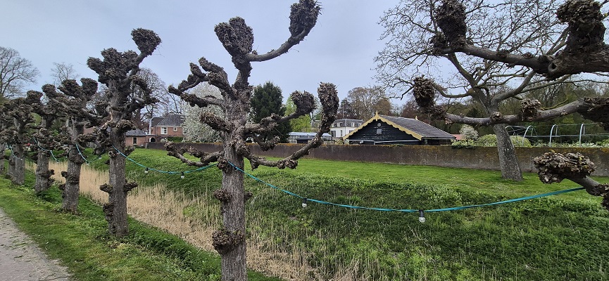 Wandeling Kort en Prachtig Enspijk op landgoed Mariënweerd