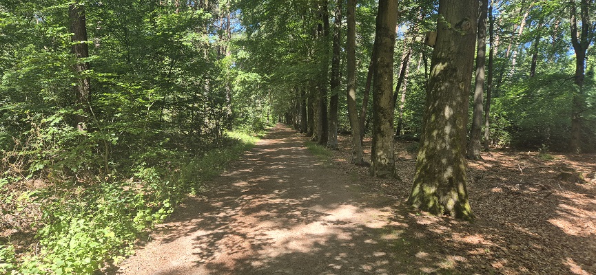 Wandeling over Trage Tocht Kasteel Vorden bij landgoed de Kieftskamp