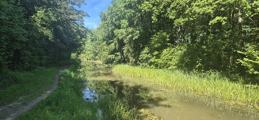 Wandeling over Trage Tocht Kasteel Vorden bij de Veengoot