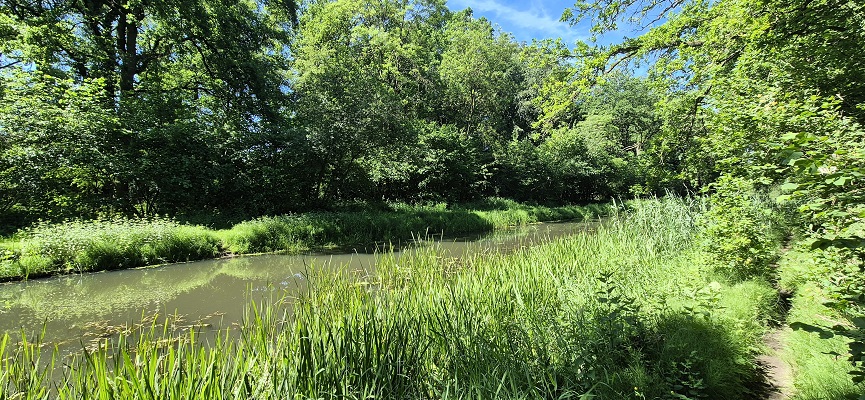 Wandeling over Trage Tocht Kasteel Vorden bij de Veengoot