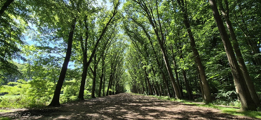 Wandeling over Trage Tocht Kasteel Vorden bij landgoed Vorden