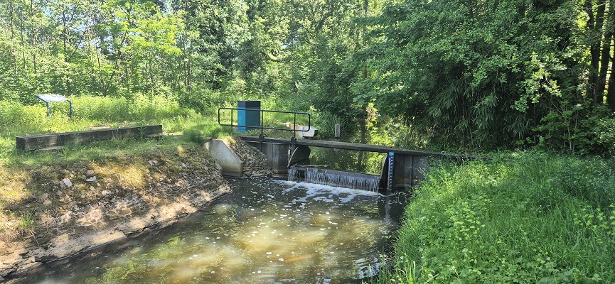 Wandeling over Trage Tocht Kasteel Vorden bij de Veengoot