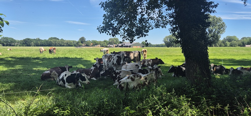Wandeling over Trage Tocht Kasteel Vorden
