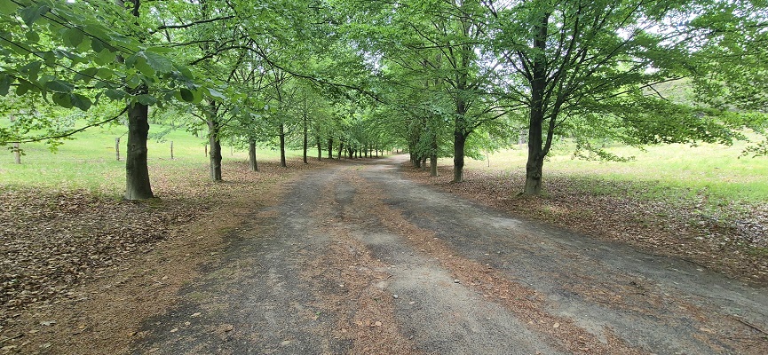 trage-tocht-soest-11