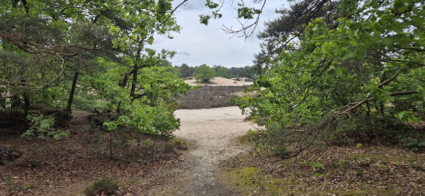trage-tocht-soest-2