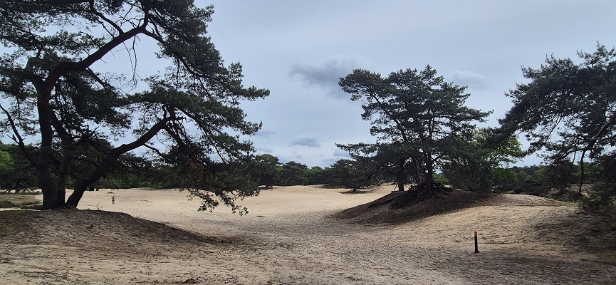 trage-tocht-soest-3
