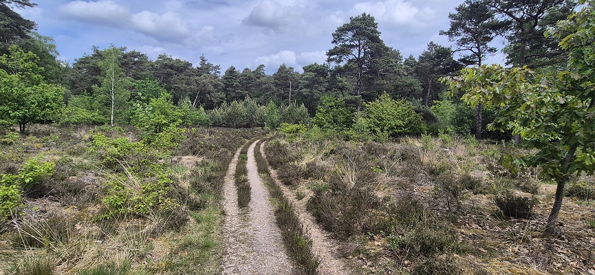 trage-tocht-soest-9